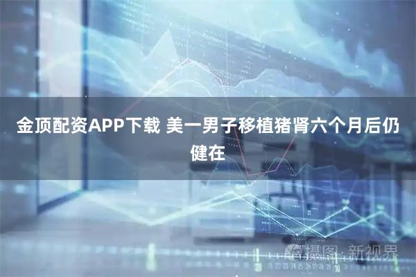 金顶配资APP下载 美一男子移植猪肾六个月后仍健在