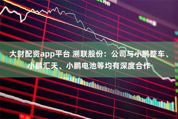 大财配资app平台 溯联股份：公司与小鹏整车、小鹏汇天、小鹏电池等均有深度合作